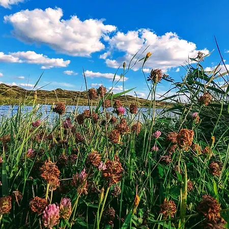 6 Person In Norre Nebel-by Traum Nørre Nebel