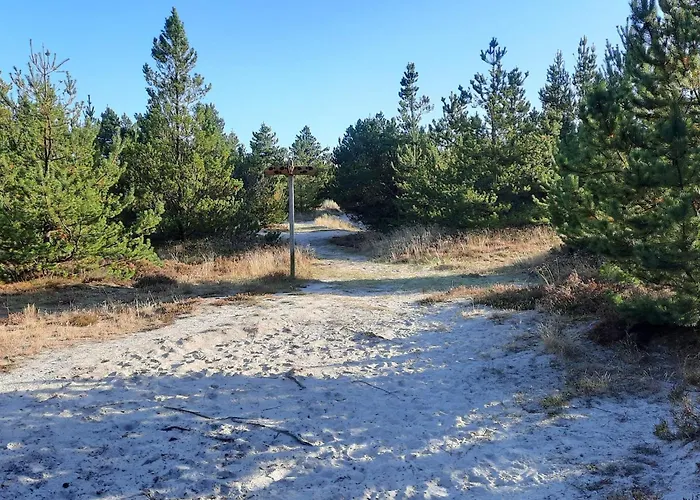 Feriehus 6 Person In Norre Nebel-by Traum Nørre Nebel