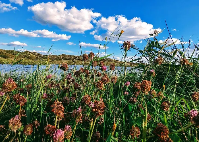 6 Person In Norre Nebel-by Traum Nørre Nebel